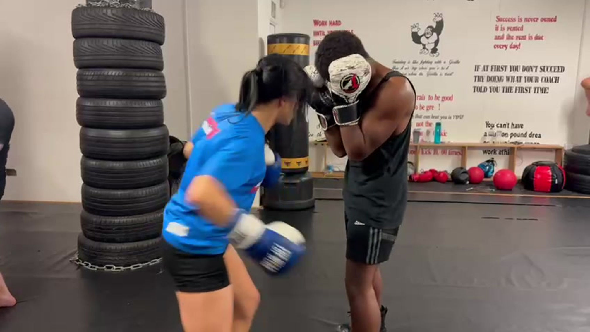 Getting used to blocking & countering punches part 1